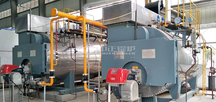 濟(jì)豐包裝紙業(yè)6噸冷凝式燃?xì)庹羝仩t項(xiàng)目